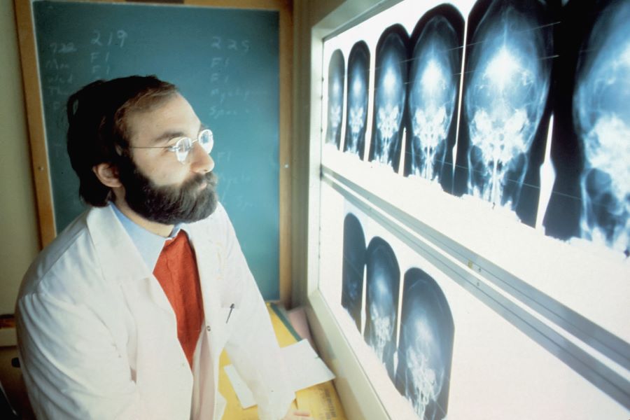 a doctor looks at head x-rays
